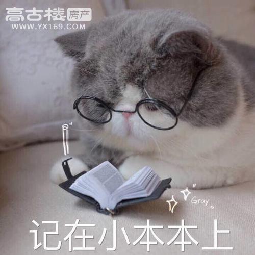 u=3390388708,3113998989&fm=26&gp=0.jpg