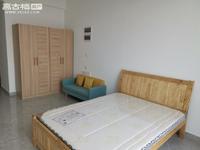 北苑红星国际天铂小公寓，精装修带家具家电900一个月
